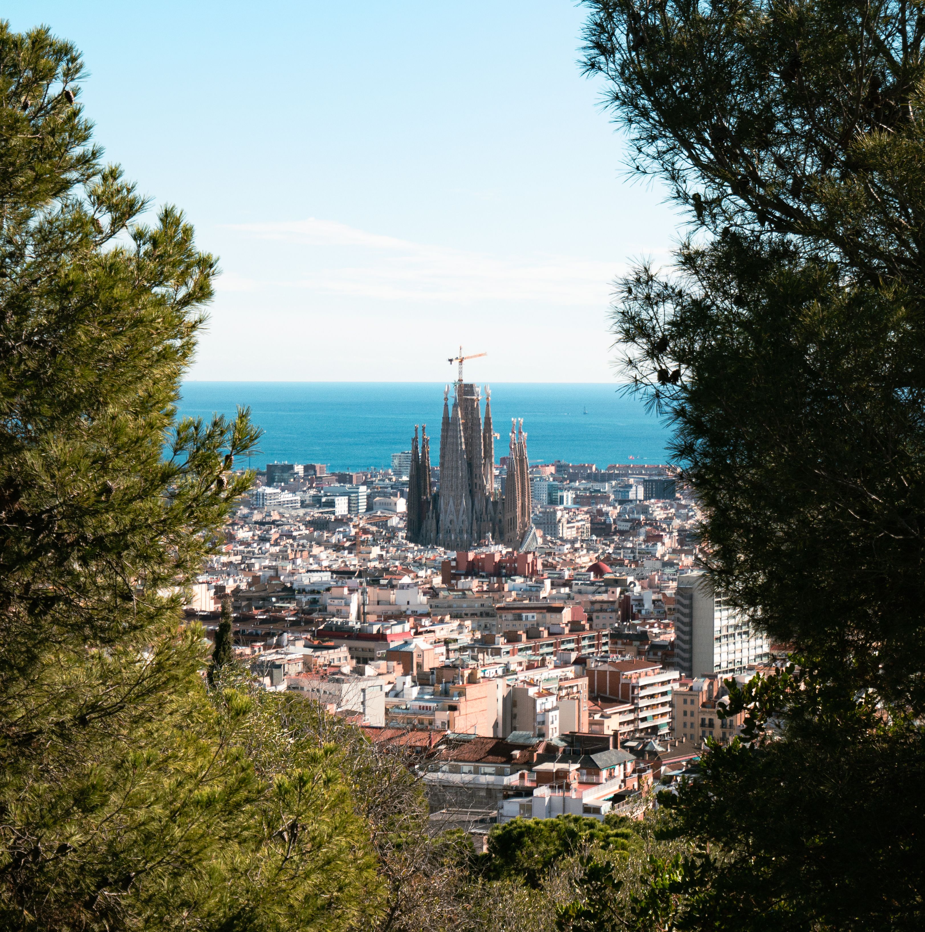 Elevated view of the Barcelona cityscape and Mediterranean coastline with the Sagrada Família framed by pine trees, highlighting long-term value creation and prime real estate opportunities.